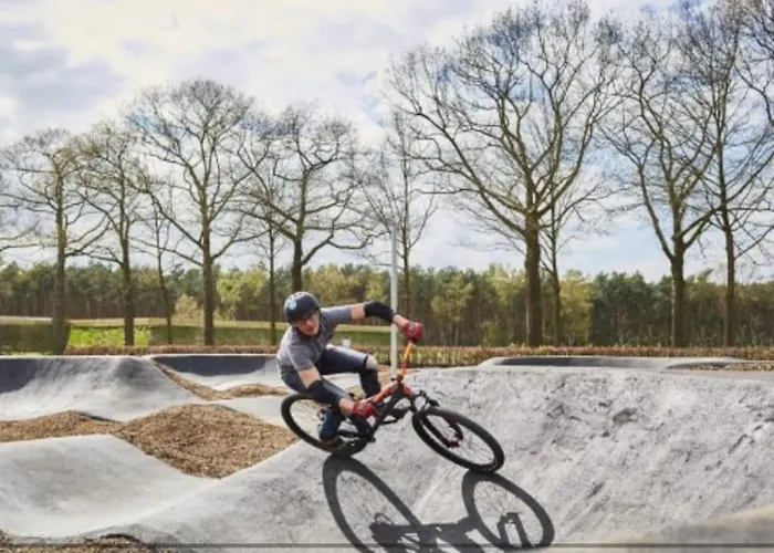 Te Huur Op *****camping Terspegelt 4 Personen Chalet